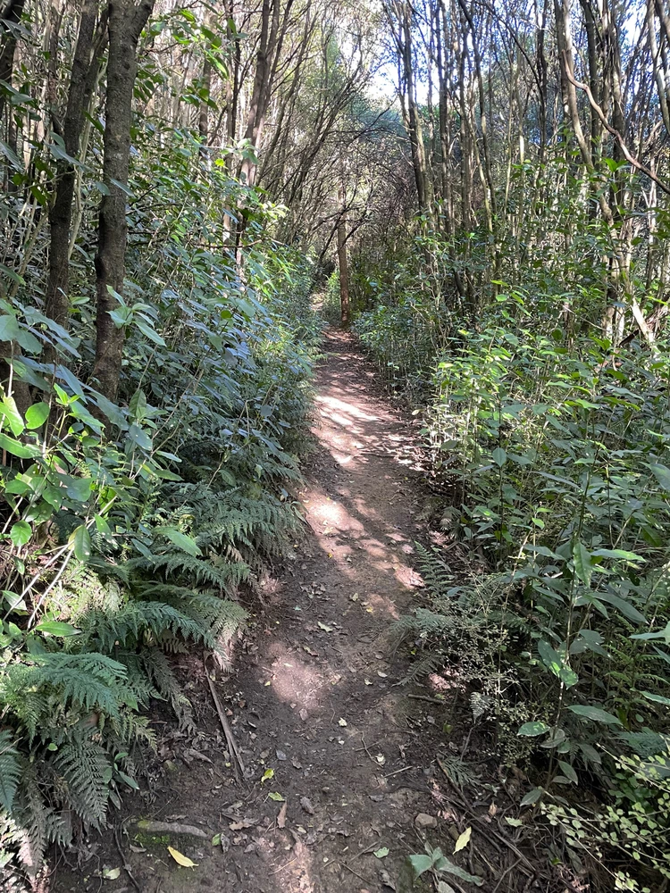 GIF uploaded by Pammy