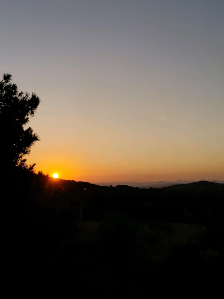 Image uploaded by Nanaki