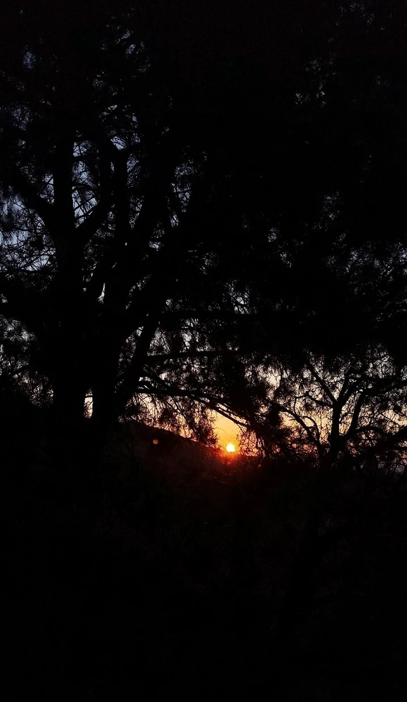 Image uploaded by Nanaki