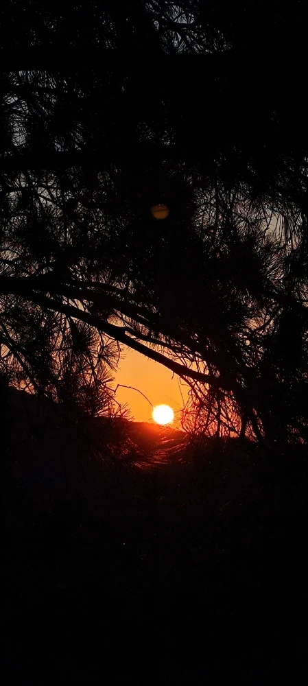 Image uploaded by Nanaki