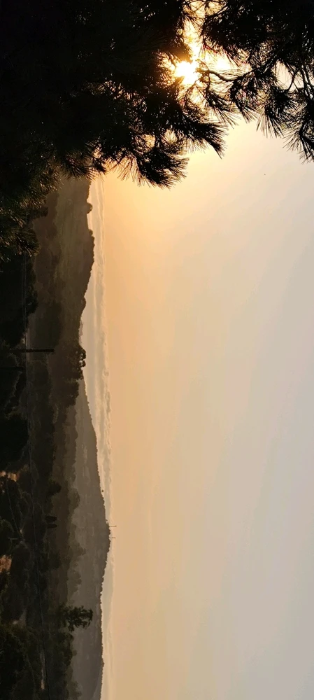 Image uploaded by Nanaki