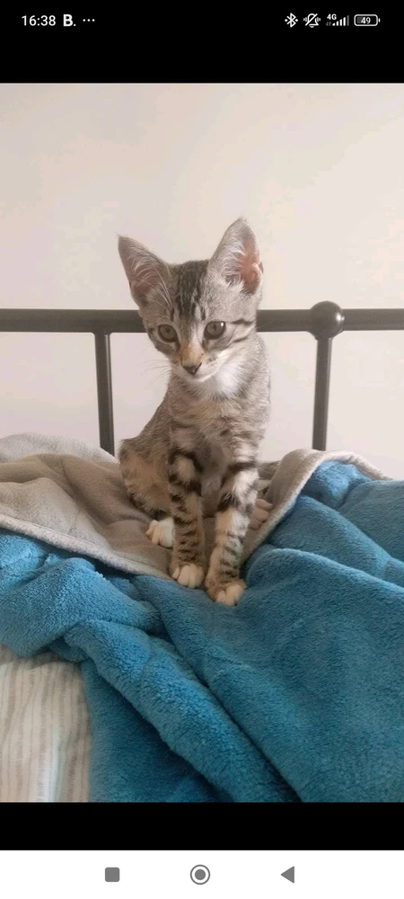 Imagen subida por José