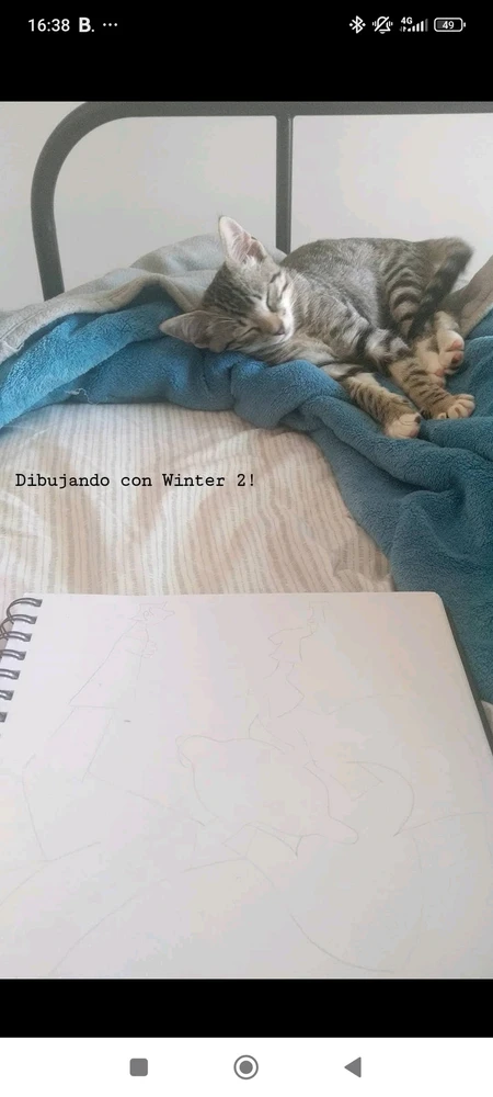 Imagen subida por José