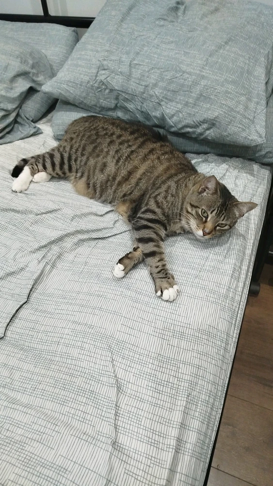 Imagen subida por José