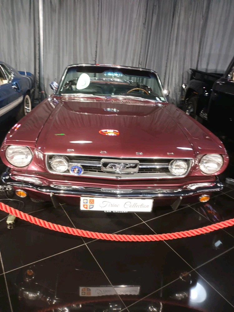 Imagine încărcată de Catalin Eduard