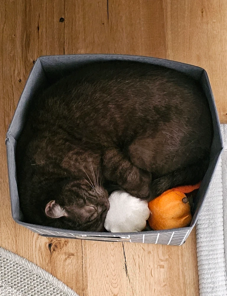 GIF hochgeladen von 𝕁𝕖𝕤𝕤𝕚𝕔𝕒