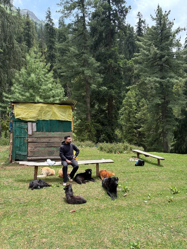 Image uploaded by Harry Rana