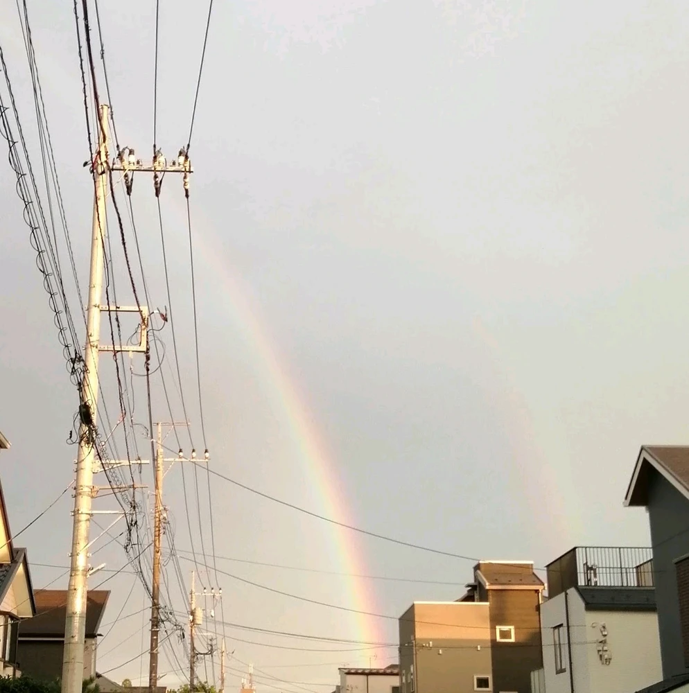 アシェラッドがアップロードしたGIF