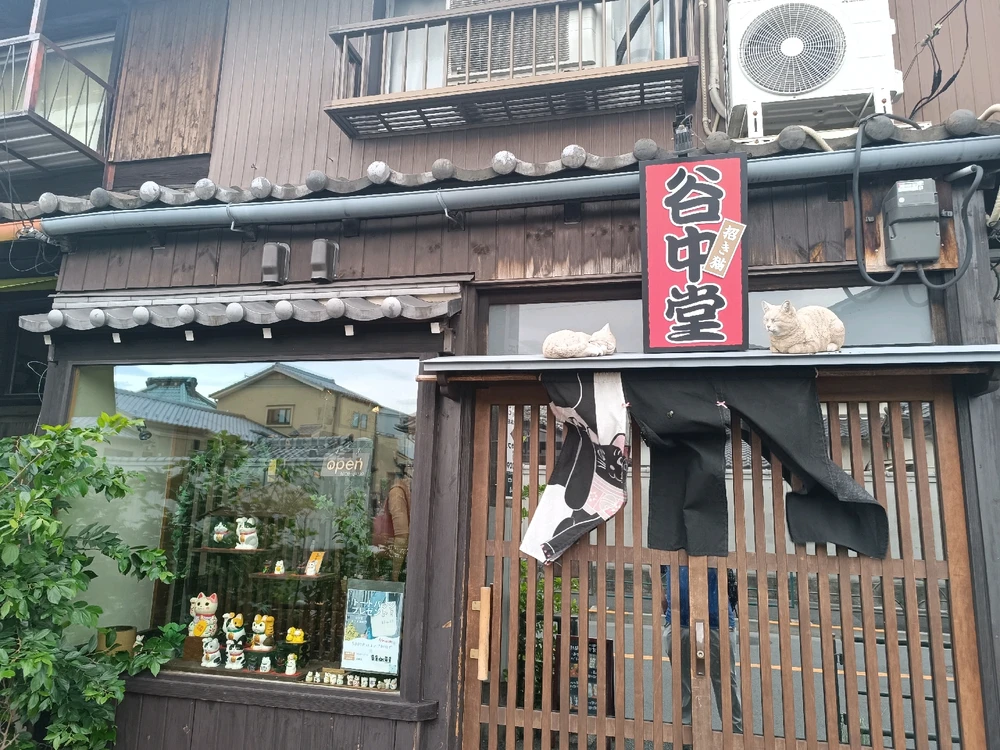 Image uploaded by Carlos カルロス