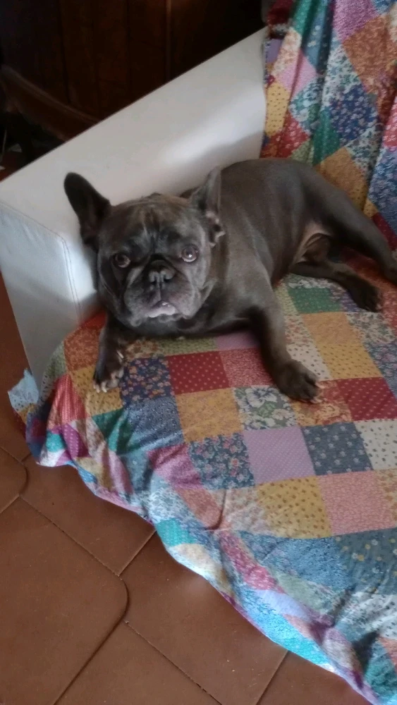 Immagine caricata da Marco