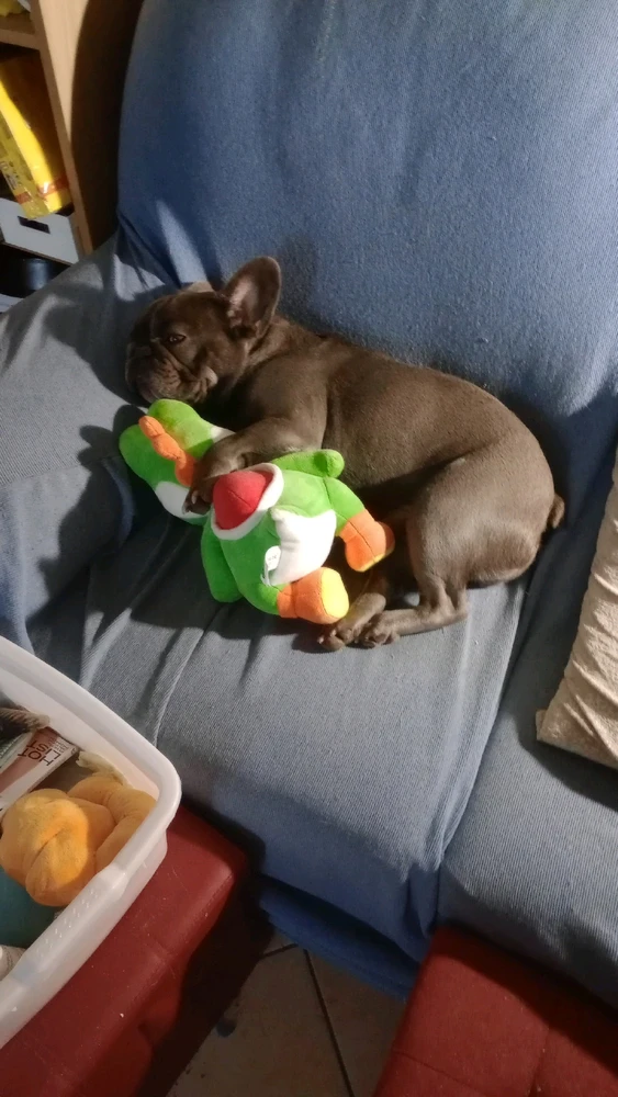 Immagine caricata da Marco