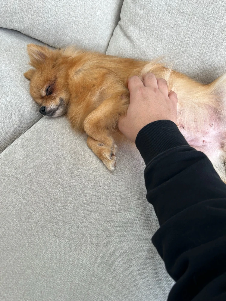 ションがアップロードした画像