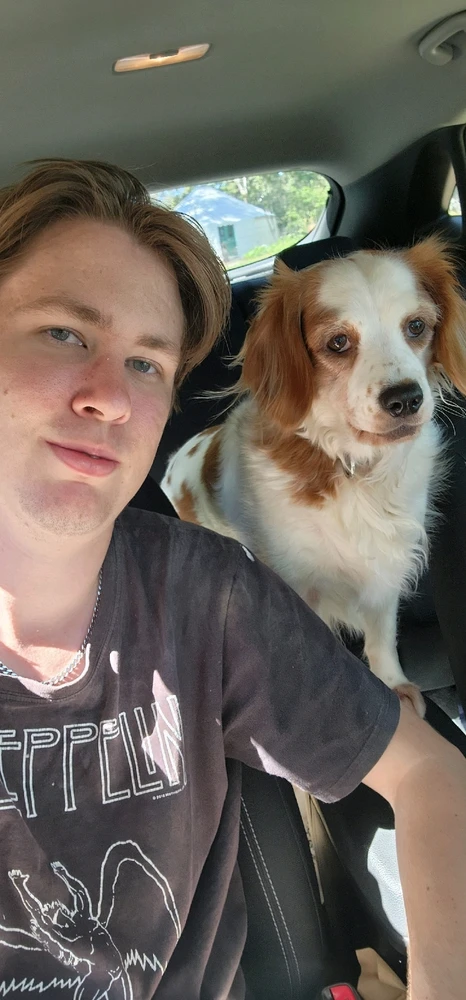 Image uploaded by Orwyn