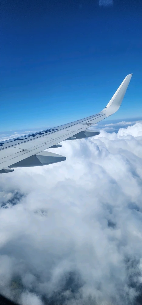 Image uploaded by Orwyn