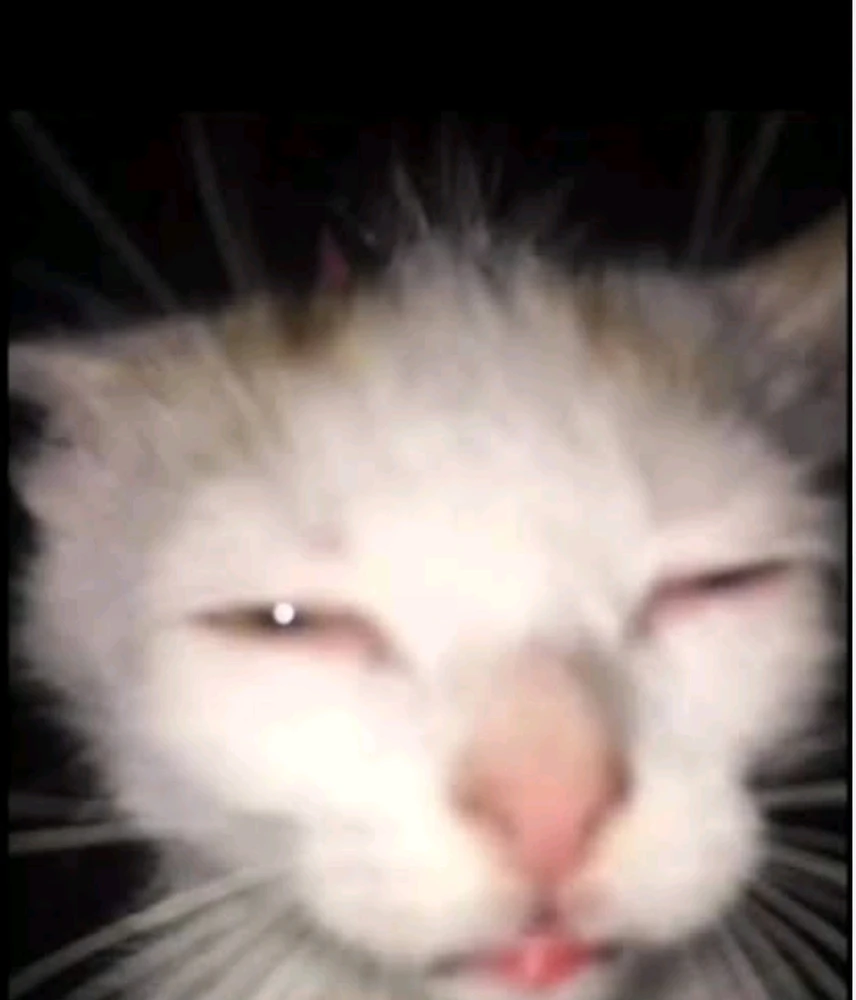 GIF uploaded by Vishal Kulshrestha