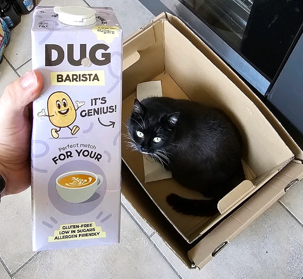 GIF hochgeladen von Kenny