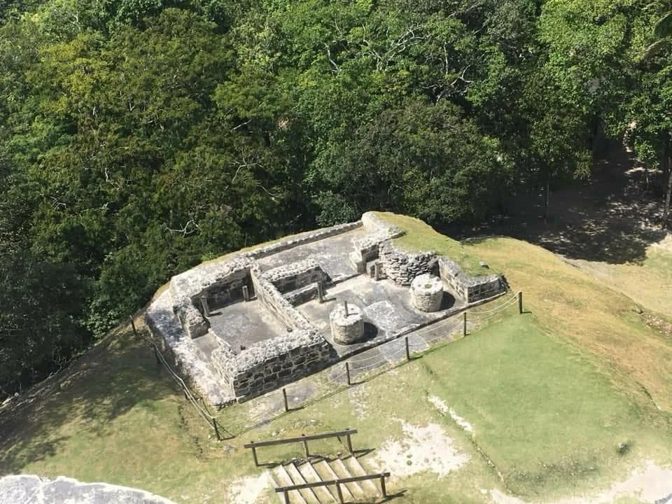 Image uploaded by Joe