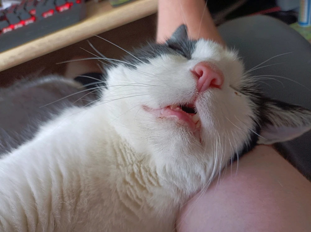 GIF hochgeladen von 4ndr3w