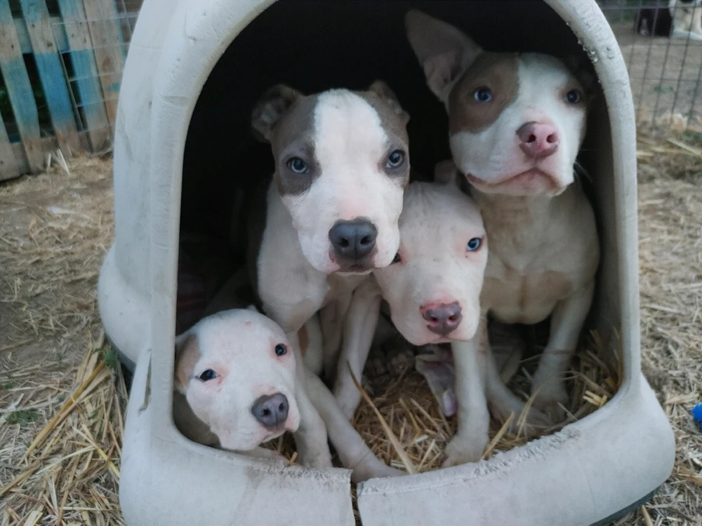 Image uploaded by Zach