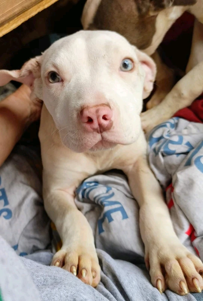 Image uploaded by Zach