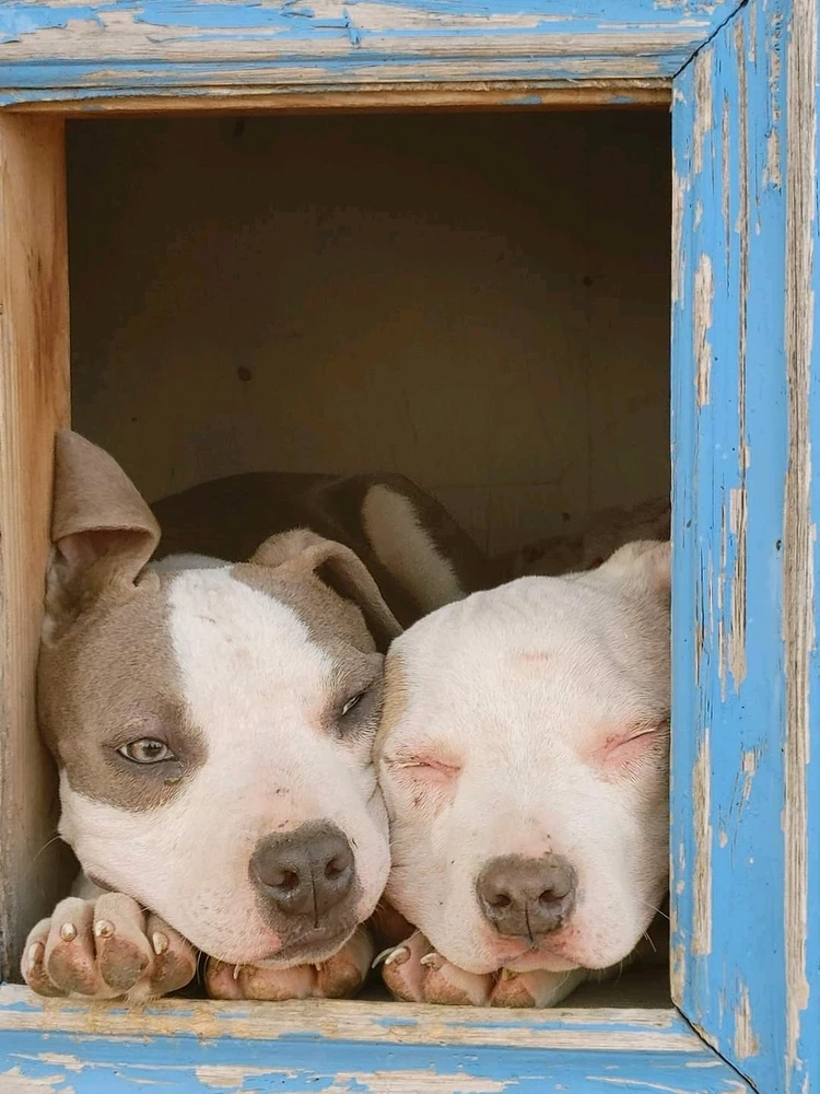 Image uploaded by Zach