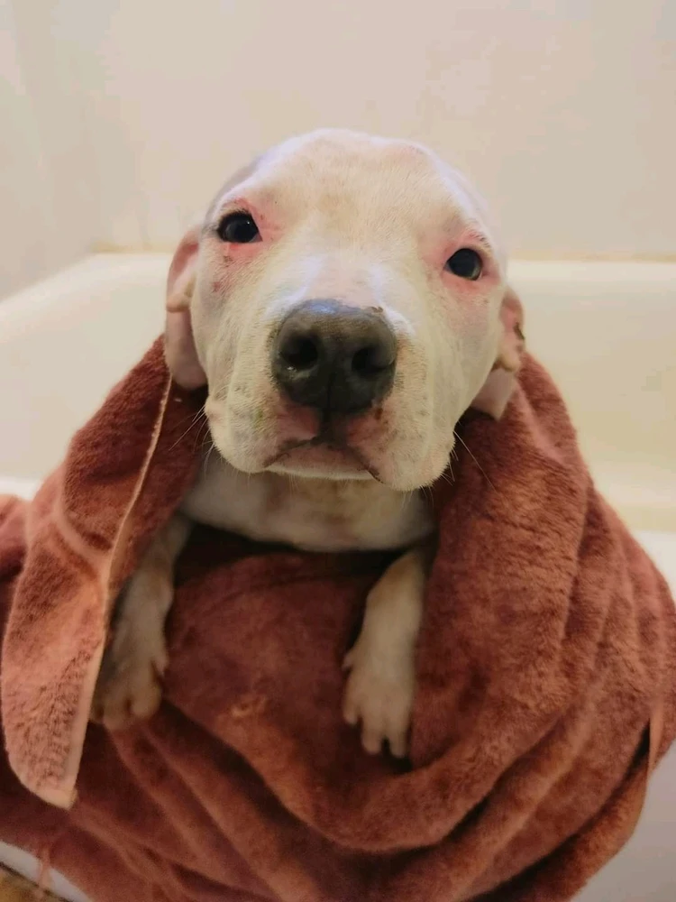 Image uploaded by Zach