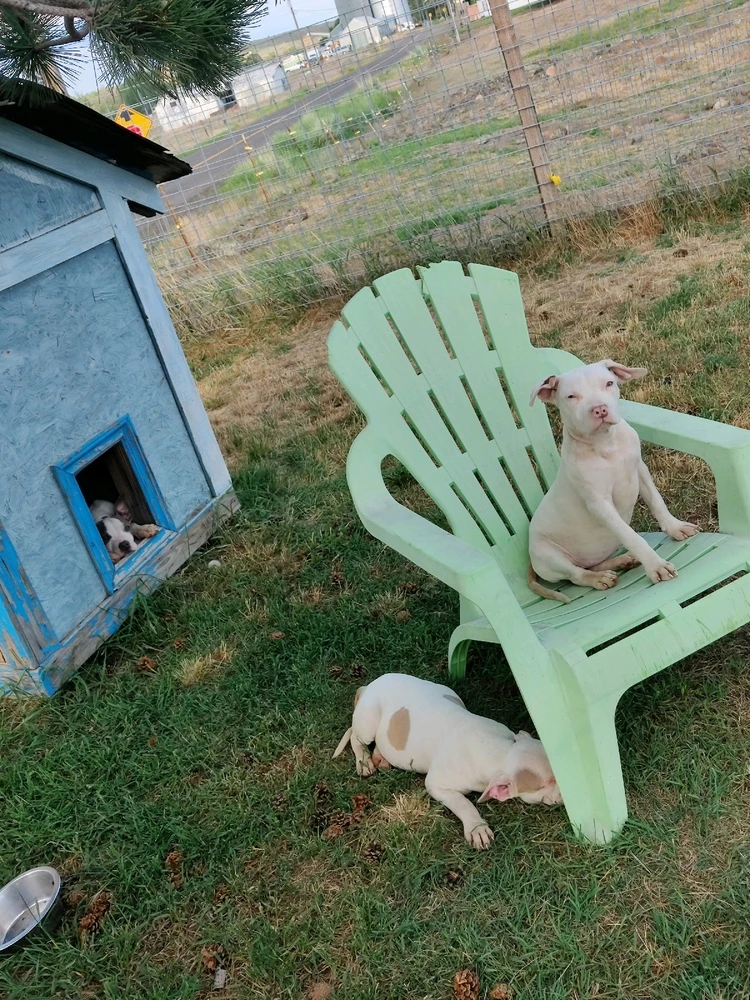 Image uploaded by Zach