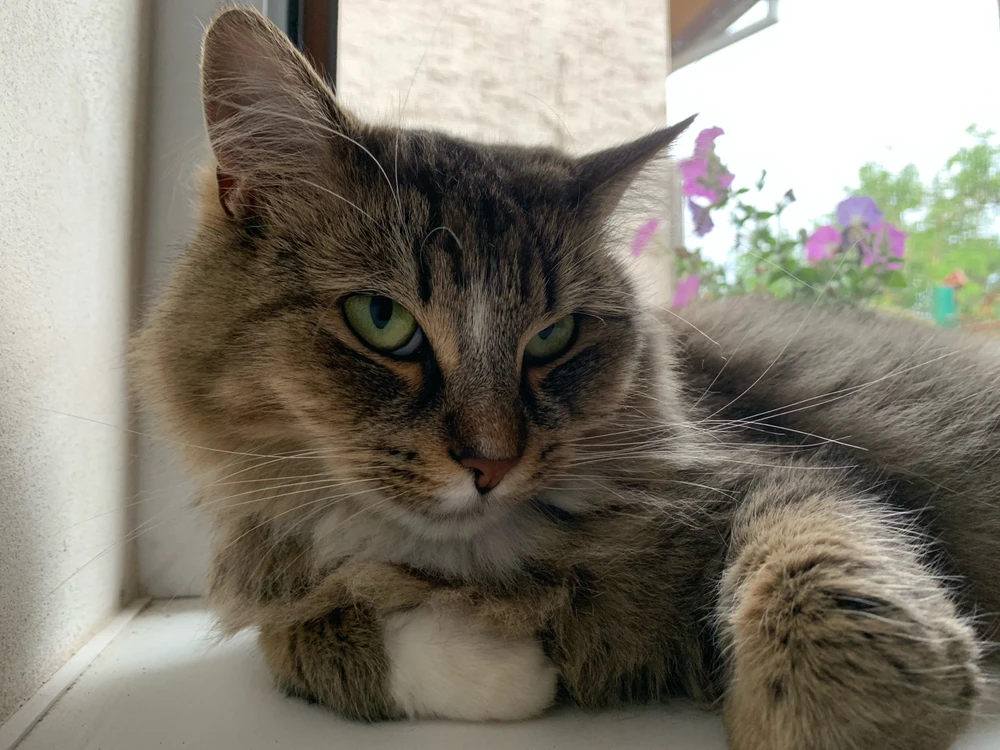 Obrázek nahrál Kateřina