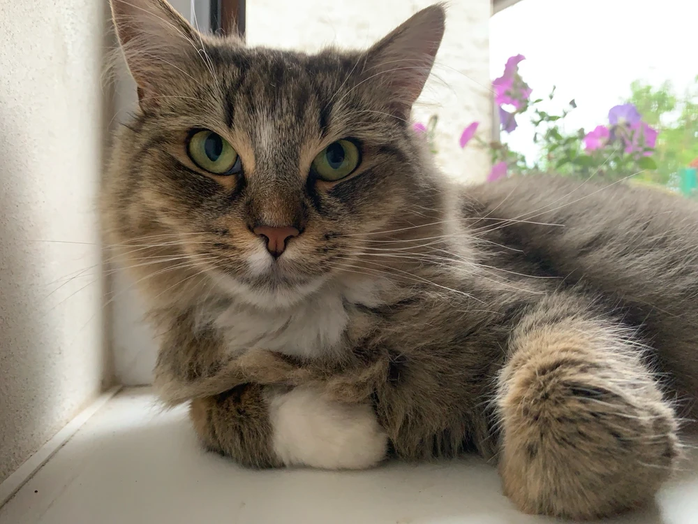 Obrázek nahrál Kateřina