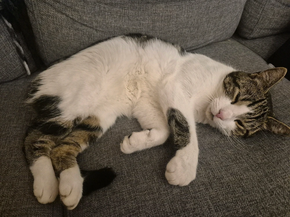 Billede uploadet af Aske