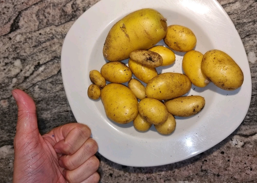 GIF hochgeladen von Michi