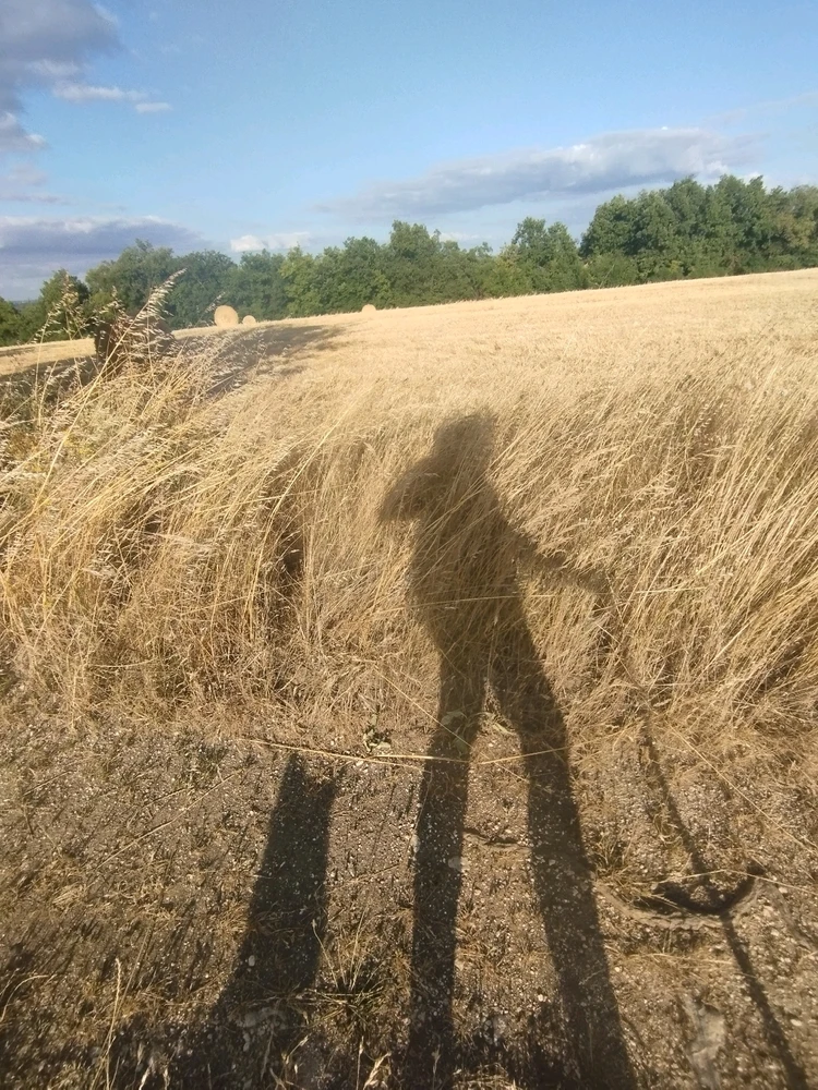 GIF ajouté par Chris