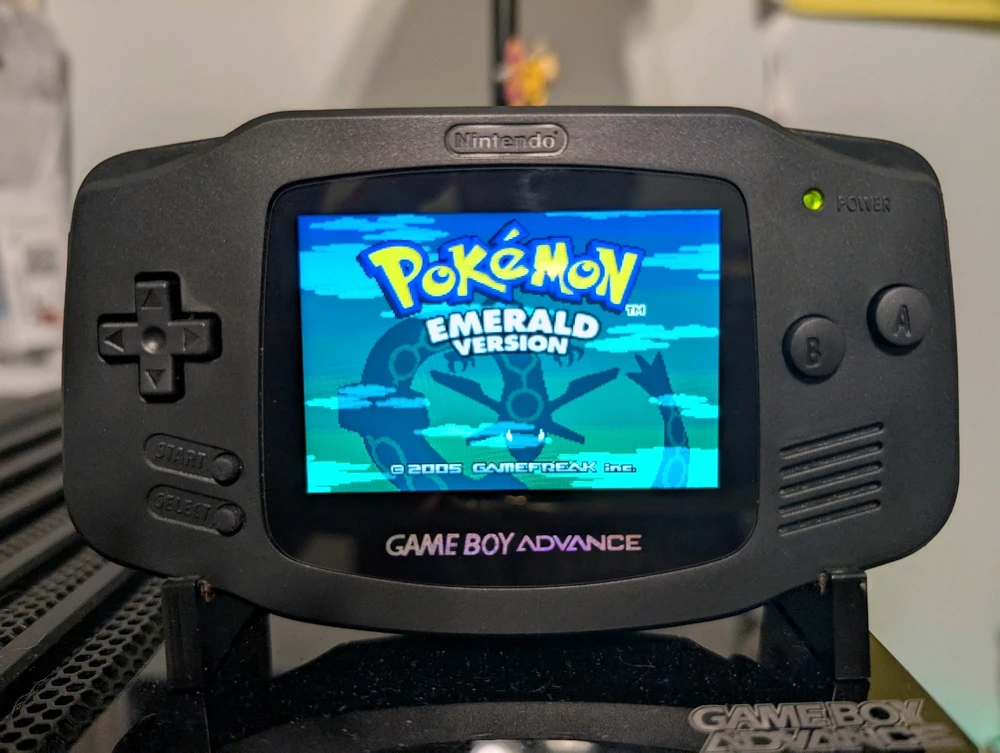 Image uploaded by Nick