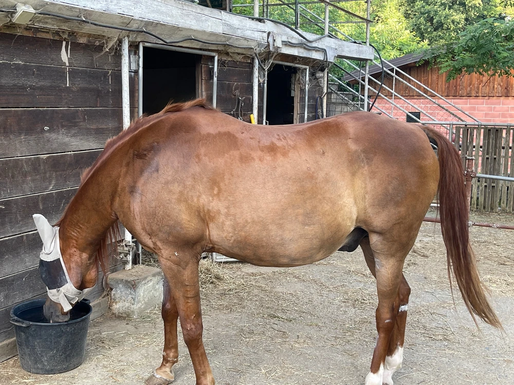 GIF caricata da Alessio