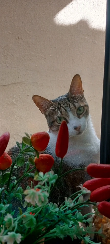 GIF enviado por Nivia