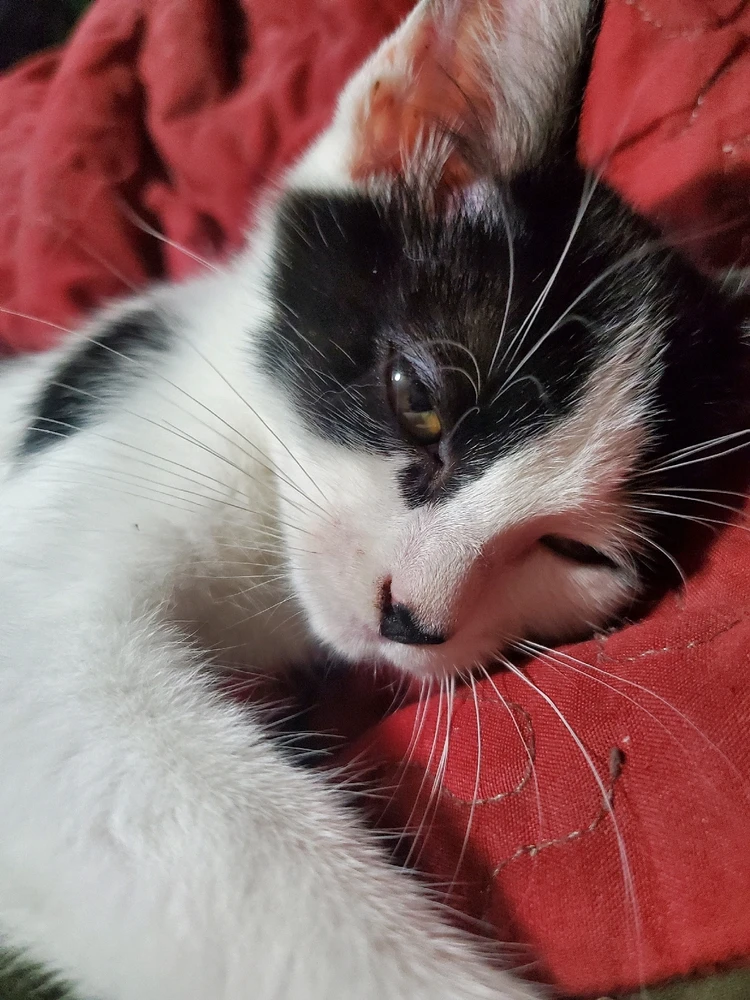 GIF uploaded by Cheyenne