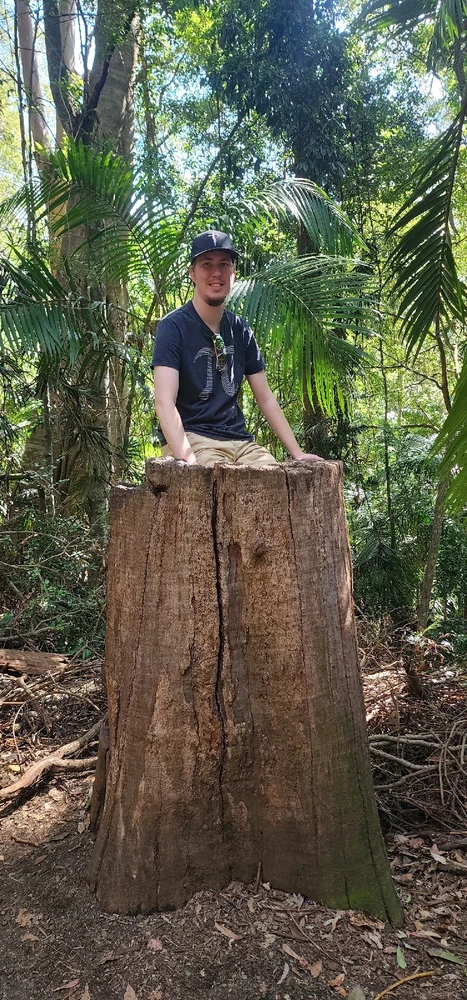 Image uploaded by Orwyn