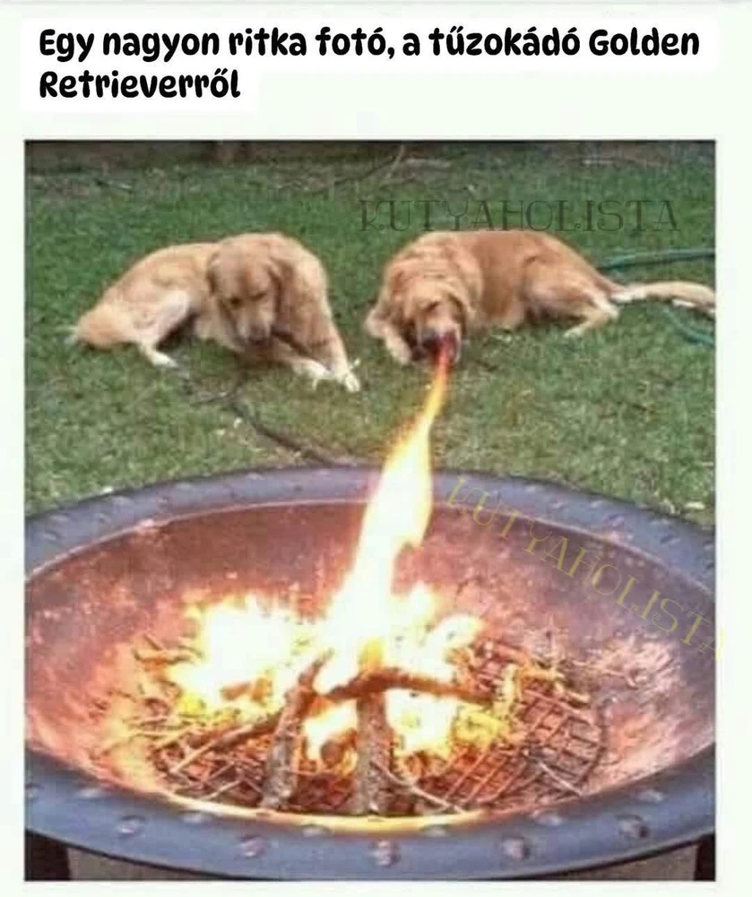 Zoltán által feltöltött GIF