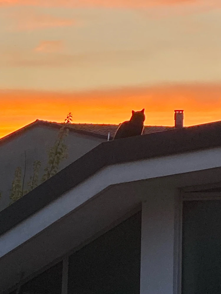 GIF caricata da Luca the mente