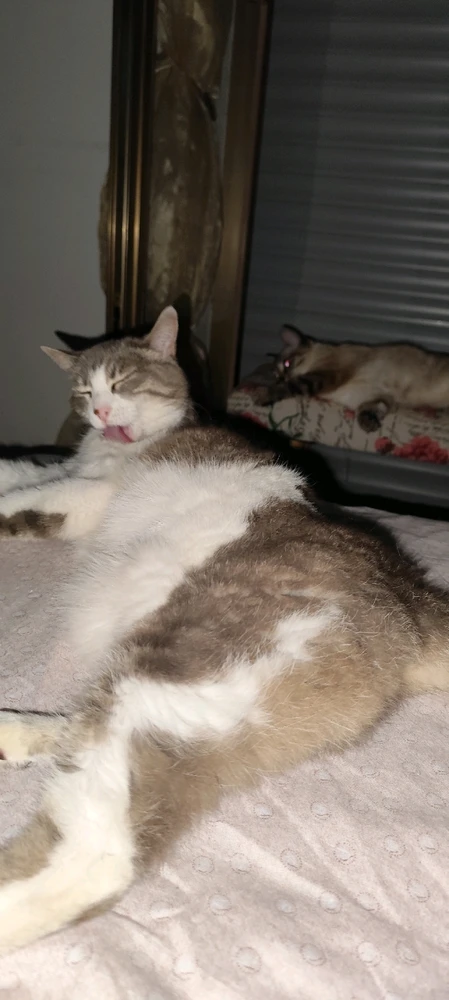 Immagine caricata da Nanaki