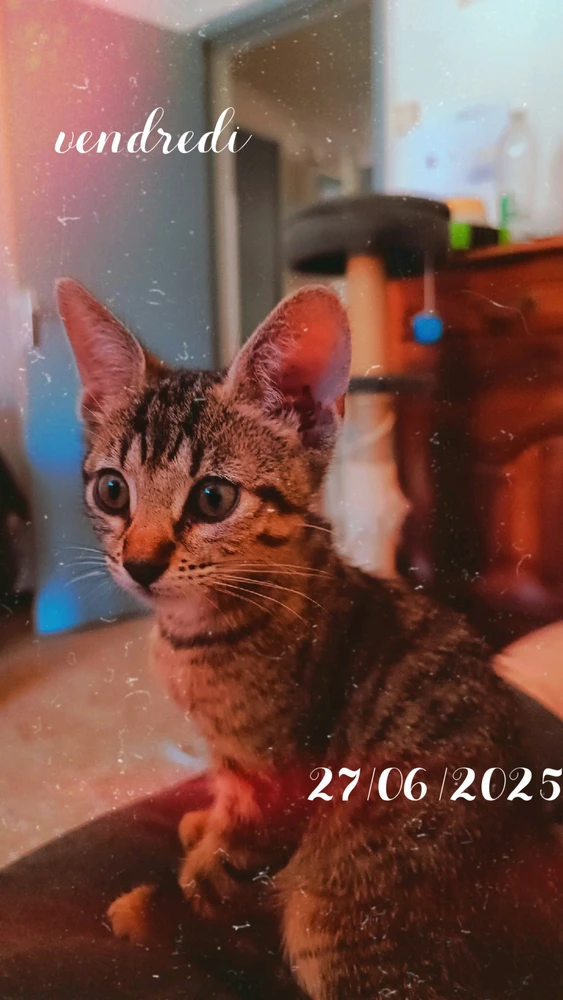 GIF ajouté par Jonathan