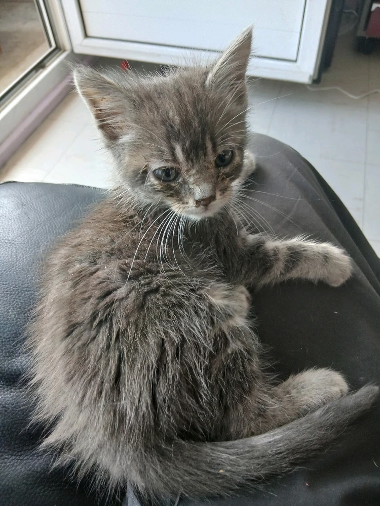 GIF ajouté par Jean marie