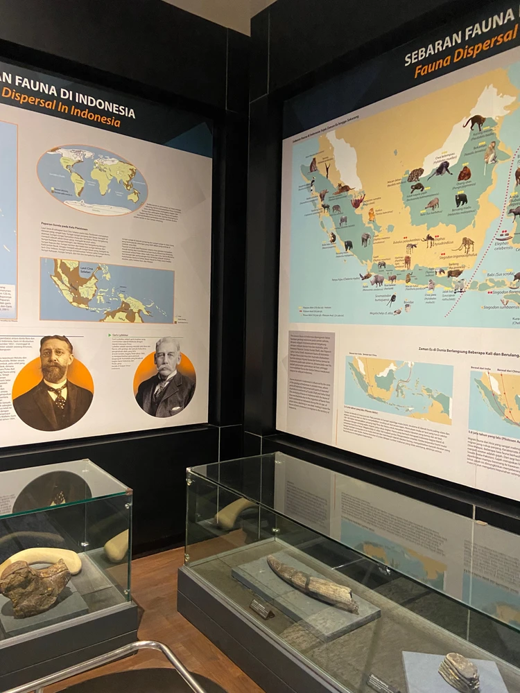 GIF diunggah oleh Imaaa