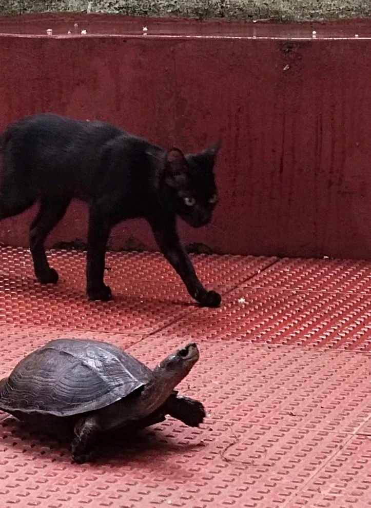 GIF uploaded by Unais