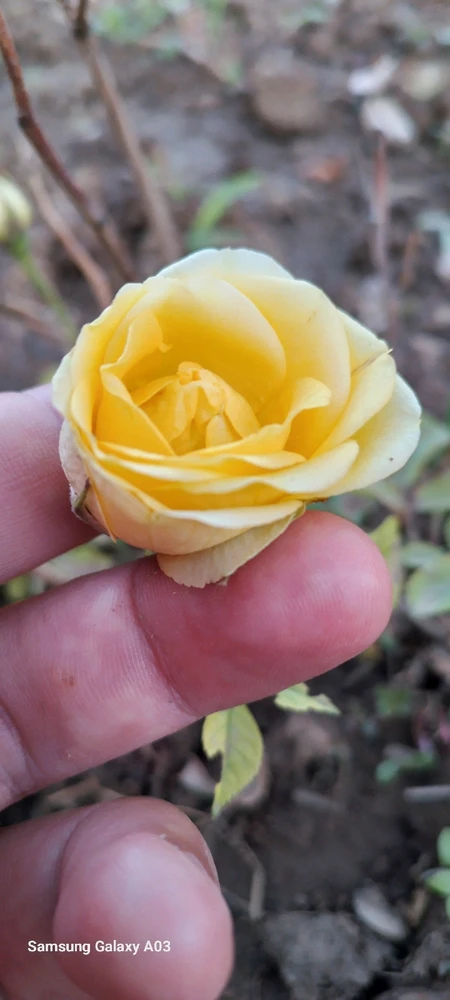 GIF uploaded by Kas