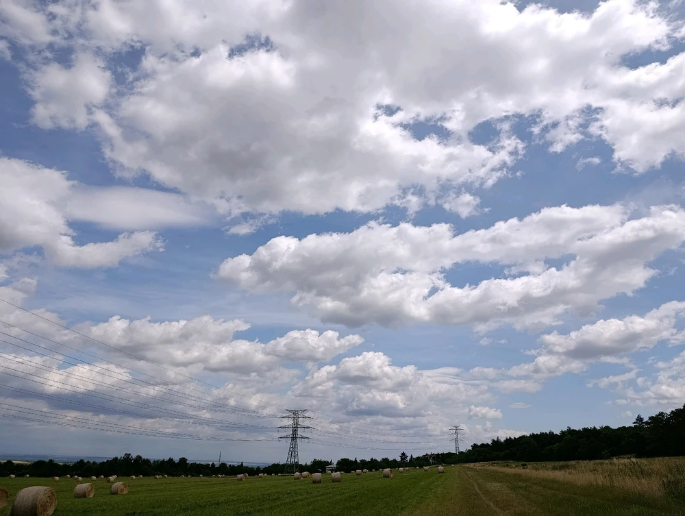 Obrázek nahrál ⭕⭕ Andrea