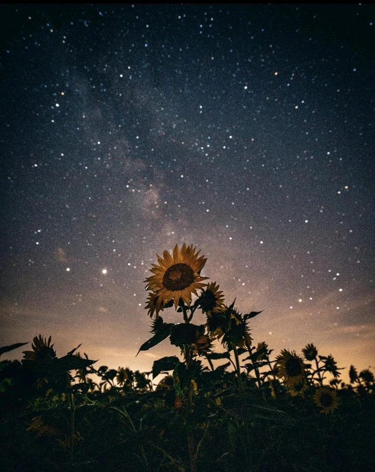 Image uploaded by Mikalob