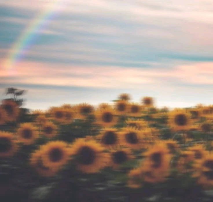 Image uploaded by Mikalob