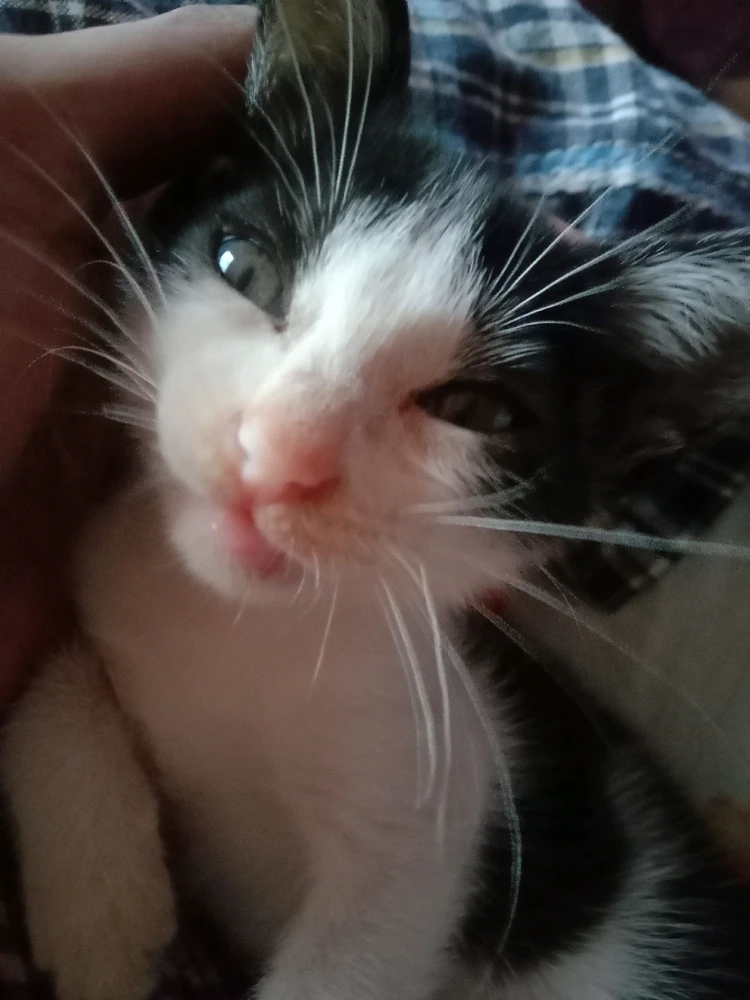 GIF uploaded by Tahmid Faris