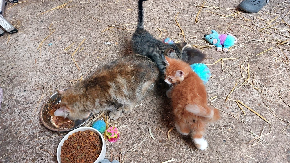 Image uploaded by Kaylen